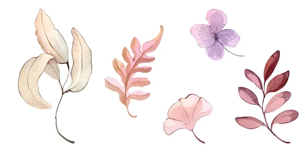 Ilustracja Akwarela Ręka Malarstwo Las Liście Kwiaty Nasiona Zima Jesień — Zdjęcie stockowe
