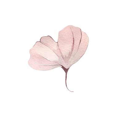 Sonbahar çiçekleri suluboya çizimleri