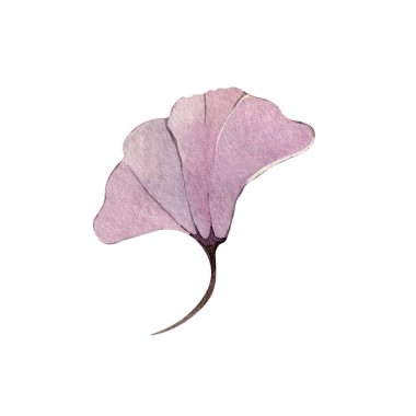 Sonbahar çiçekleri suluboya çizimleri