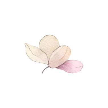 Sonbahar çiçekleri suluboya çizimleri