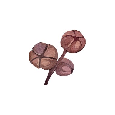 Orman tohumları suluboya resmetme sonbaharı