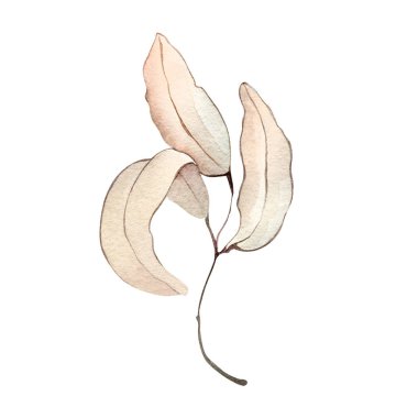 Sonbahar yaprağı dalları suluboya çizim elementi dekor bitki