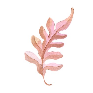 Sonbahar yaprağı dalları suluboya çizim elementi dekor bitki