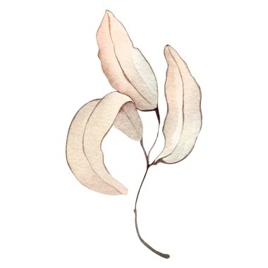 Sonbahar yaprağı dalları suluboya çizim elementi dekor bitki