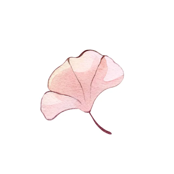 Podzimní Květiny Okvětní Lístek Akvarel Ilustrace — Stock fotografie