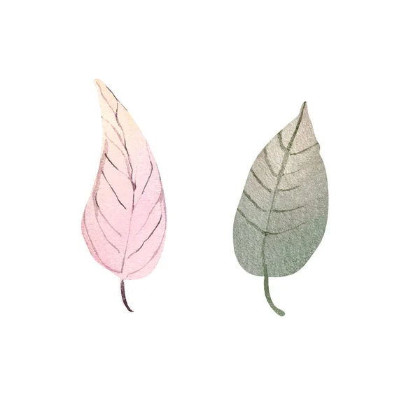 Jesienny Liść Akwarela Ilustracja Element Wystrój Roślina — Zdjęcie stockowe