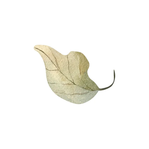Jesienny Liść Akwarela Ilustracja Element Wystrój Roślina — Zdjęcie stockowe