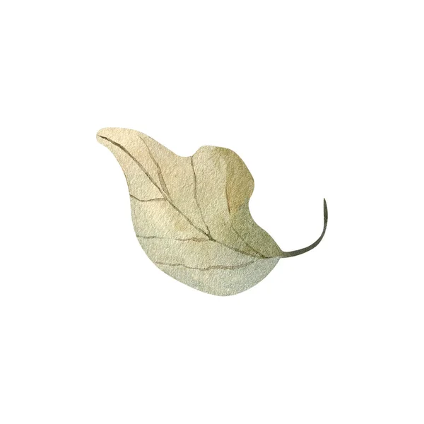 Herbst Blatt Aquarell Illustration Element Dekor Pflanze lizenzfreie Stockbilder