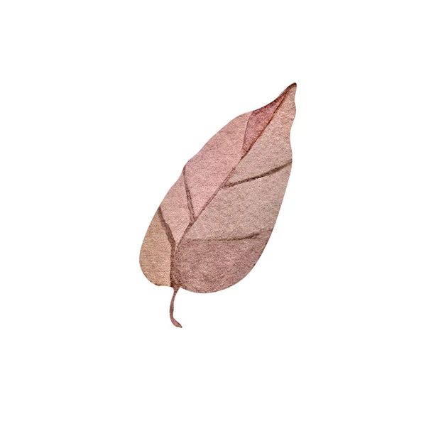 Herbst Blatt Aquarell Illustration Element Dekor Pflanze Stockbild