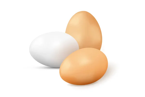 Vector realista huevos amarillos y blancos sobre fondo blanco — Vector de stock