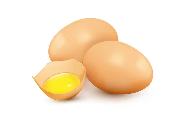 Ovos vetoriais realistas e ovo quebrado com gema de ovo — Vetor de Stock