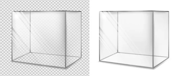 Cubo de vidrio transparente. Acuario realista. Vitrina especial — Vector de stock