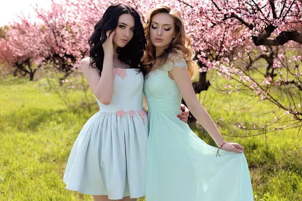 Lindas mulheres jovens em vestido elegante posando no jardim com árvores de pêssego flor — Fotografia de Stock