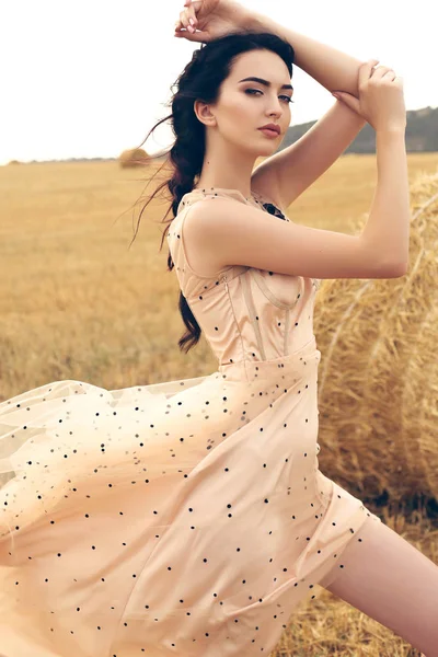 Chica con el pelo oscuro en vestido elegante posando en el heno —  Fotos de Stock