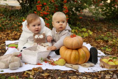kabak ve ağaçların arasında oyuncaklar ile poz küçük şirin çocuk 