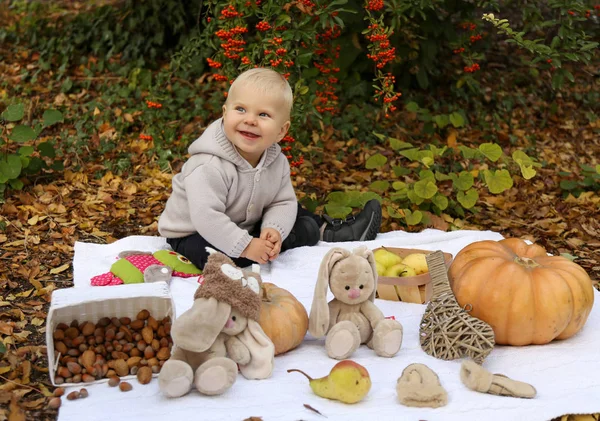 Bébé garçon 1 ans, posant avec citrouille et jouets parmi les arbres i — Photo