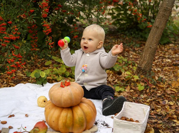 Bébé garçon 1 ans, posant avec citrouille et jouets parmi les arbres i — Photo