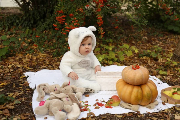 Bébé fille posant avec citrouille et jouets parmi les arbres en automne par — Photo