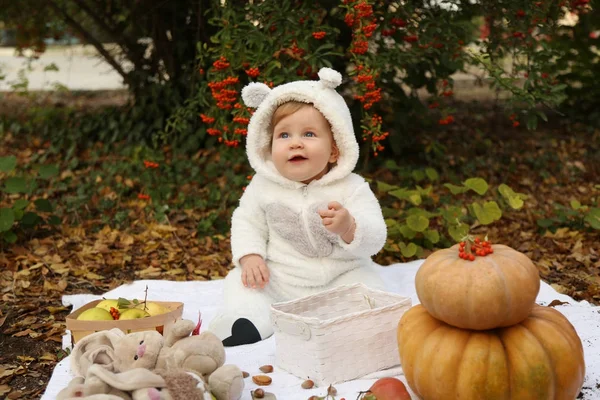 Kabak ve oyuncaklar arasında ağaçlar sonbahar par ile poz bebek kız — Stok fotoğraf