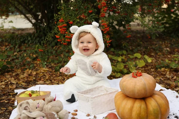 Bébé fille posant avec citrouille et jouets parmi les arbres en automne par — Photo
