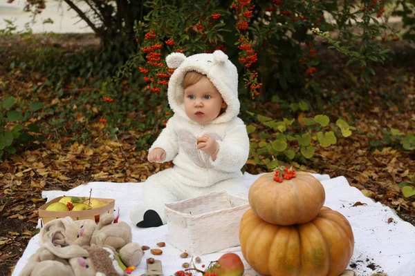 Bébé fille posant avec citrouille et jouets parmi les arbres en automne par — Photo