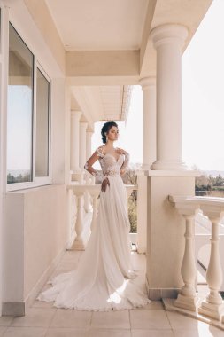 Açık poz lüks gelinlik siyah saçlı güzel kadın moda fotoğrafı