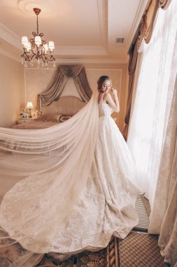moda iç lüks düğün elbise ve aksesuarlar sarışın saçlı güzel kadın fotoğrafı