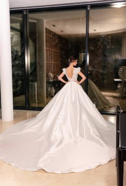 Güzel gelin, siyah saçlı, zarif gelinlikli, poz veren.