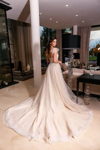 Beautiful bride with dark hair in elegant wedding dress posing i — Stock Photo, Image