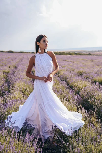 Fashion Photo Beautiful Sexy Woman Dark Hair Luxurious Long Dress — Stock Photo, Image