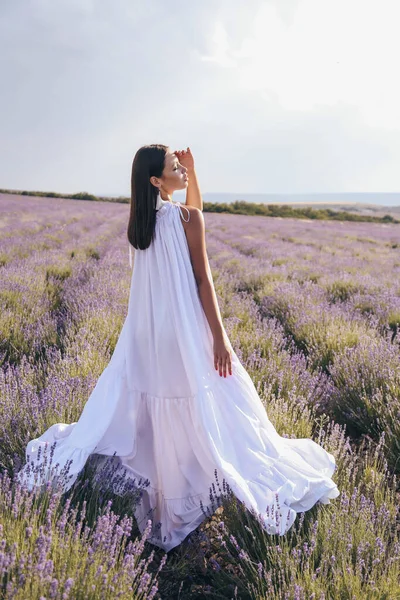 Fashion Photo Beautiful Sexy Woman Dark Hair Luxurious Long Dress — Stock Photo, Image