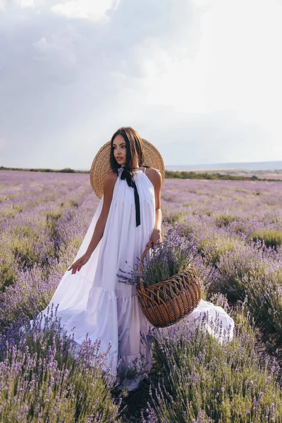 穿着华丽长裙 一头深色头发的漂亮性感女人在开着花的薰衣草场摆姿势的时尚照片 — 图库照片