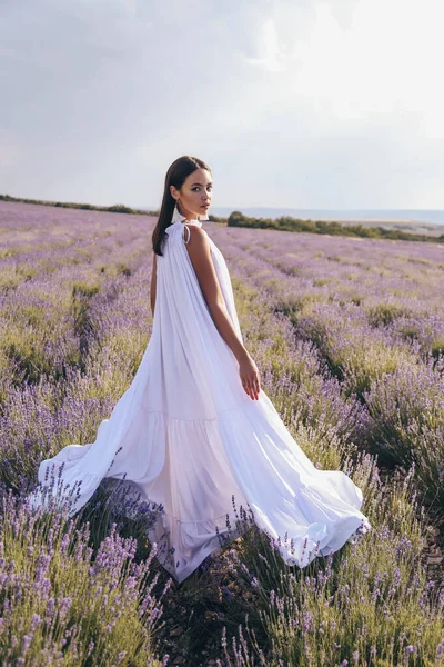 Fashion Photo Beautiful Sexy Woman Dark Hair Luxurious Long Dress — Stock Photo, Image