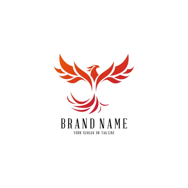 logo tasarımı Phoenix vektör şablonu beyaz arkaplan