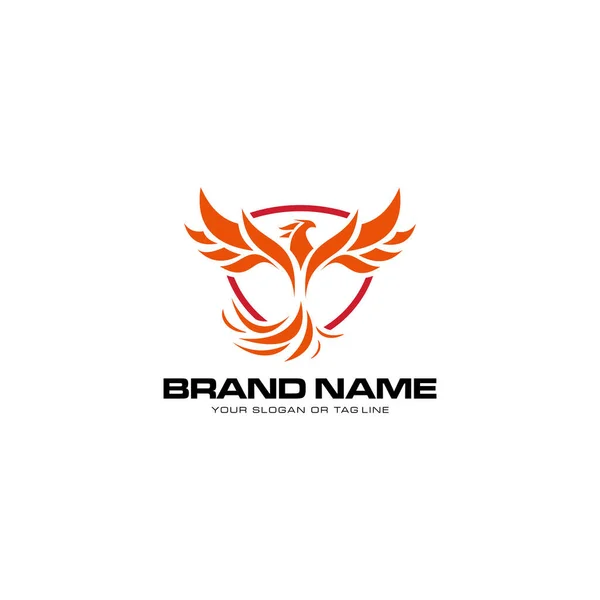 Logo design phoenix vetor modelo branco fundo — Vetor de Stock