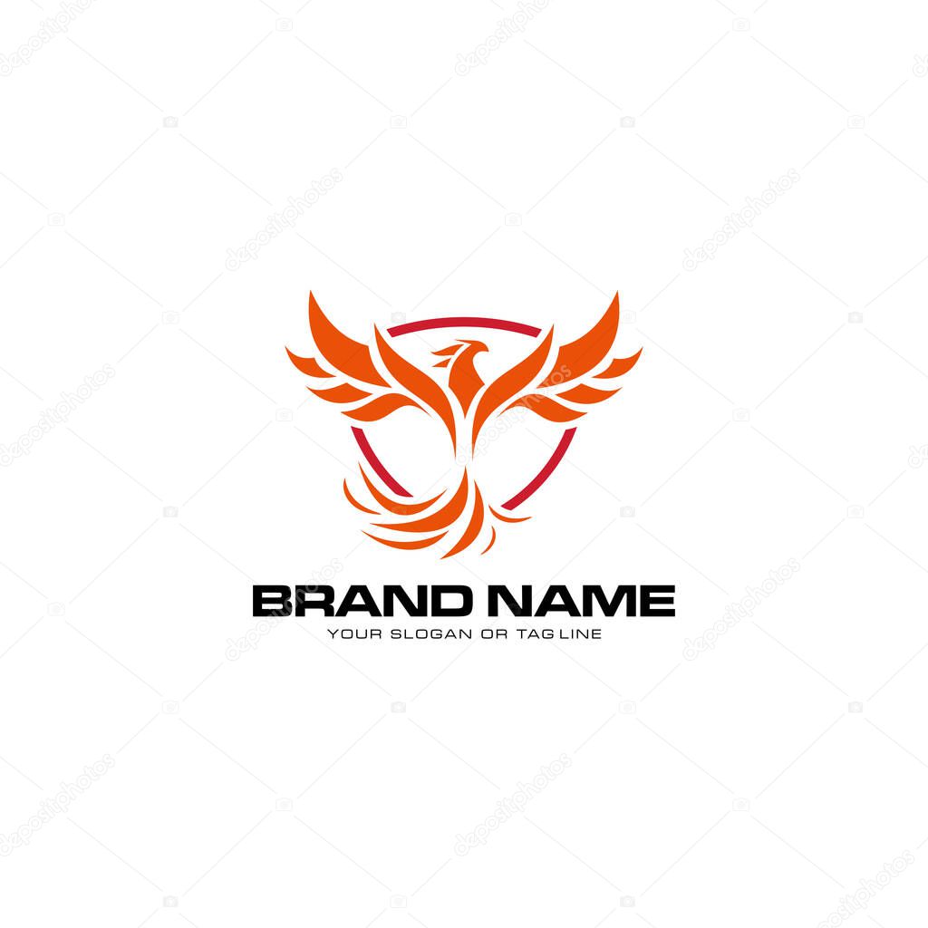Logo design phoenix vector template white background