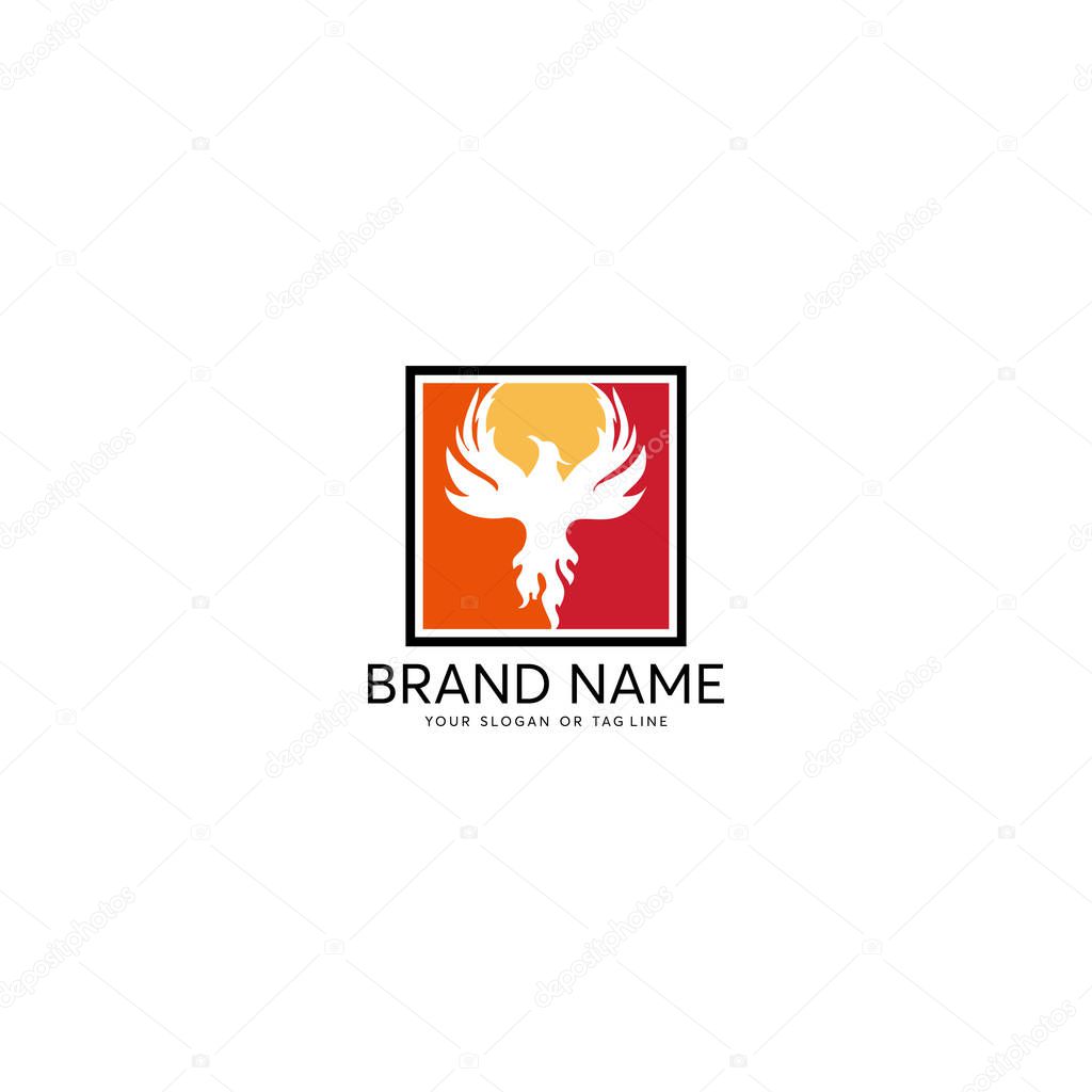Logo design phoenix vector template white background