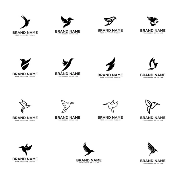 Set pájaro logo diseño vector plantilla fondo blanco — Vector de stock