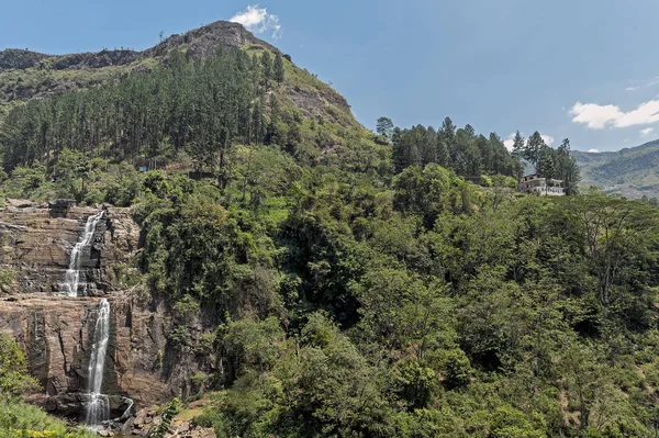 Sri Lanka forest landscape — Stock Photo, Image