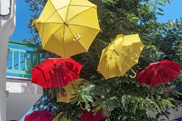 Paraguas en el árbol —  Fotos de Stock