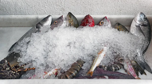 Świeże owoce morza na sprzedaż wyświetlacz na lodzie — Zdjęcie stockowe