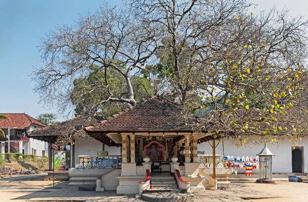 キャンディ スリランカ ワット アルンラーチャワラーラーム 2014 日にキャンディ スリランカ での寺院の中庭 仏の歯の遺物を収容する歯の仏教寺院 — ストック写真