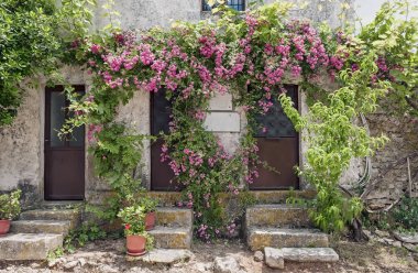 Dekoratif duvar Anafonitria Manastırı, Zakynthos, Yunanistan