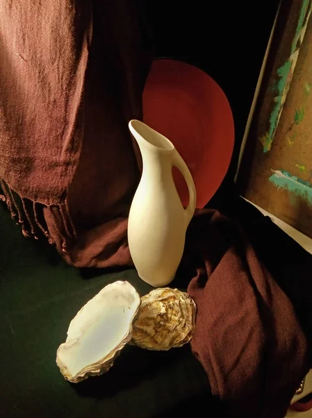 Still Life White Vase Sea Shells — Stock Photo, Image