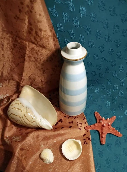 Still Life White Vase Sea Shells Start Fish — Stock Photo, Image