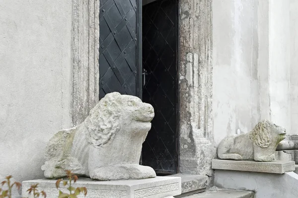 Esculturas Leones Entrada Iglesia San Miguel Antiguo Monasterio Carmelita Lviv —  Fotos de Stock