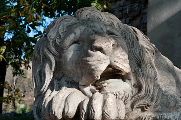 Sculpture Lion Endormi Lviv Ukraine — Photo
