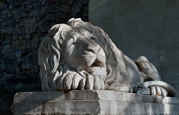 Die Schlafende Löwenskulptur Lviv Ukraine — Stockfoto