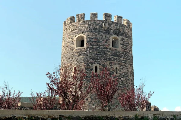 Tornet Rabatis Slott Akhaltsikhe Georgien — Stockfoto