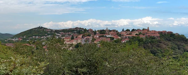 Signagi Panorama Von Einem Nahegelegenen Hügel Georgien — Stockfoto